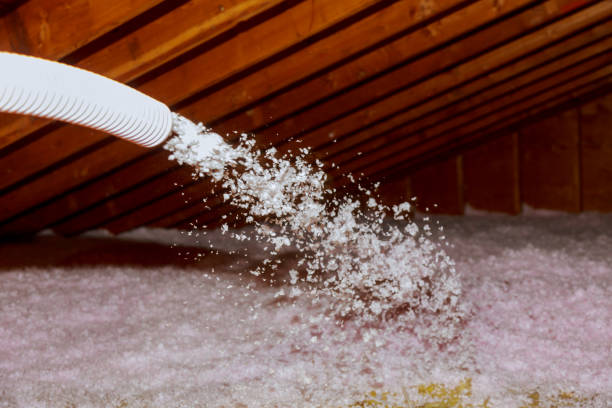 Best Insulation Installation Services in Red Wing, MN